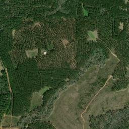 Manistee Alabama High Resolution Satellite Map