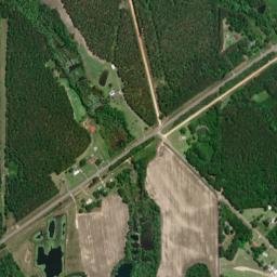 Dunns Alabama High Resolution Satellite Map