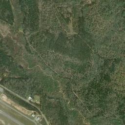 Dale County map(satellite map)