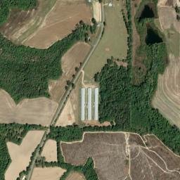 Lewis Alabama High Resolution Satellite Map