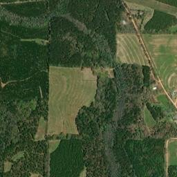 Cohassett Alabama High Resolution Satellite Map