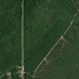 Sunflower Alabama High Resolution Satellite Map