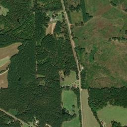 County Highway 7, Repton, AL 36475, USA High Resolution Satellite Map