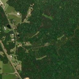 U.S. 98, Homochitto National Forest, Meadville High Resolution Satellite Map