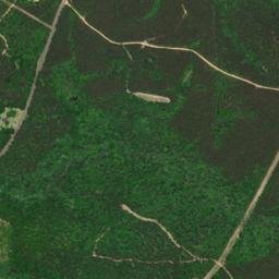 Old Sparta Alabama High Resolution Satellite Map