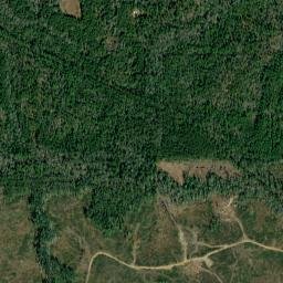 Uniform Alabama High Resolution Satellite Map