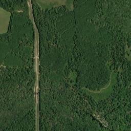 Toinette Alabama High Resolution Satellite Map