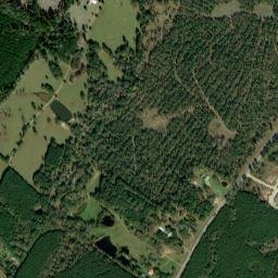 Highway 83, Hemphill, TX 75948, USA High Resolution Satellite Map