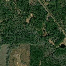 Seaboard Alabama High Resolution Satellite Map