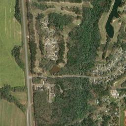 Pine Forest Alabama High Resolution Satellite Map