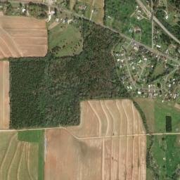 Pinckard Alabama High Resolution Satellite Map