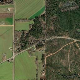 Palmers Crossroads Alabama High Resolution Satellite Map