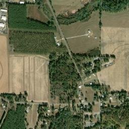 Kinsey map(satellite map)