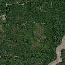 Georgetown Alabama High Resolution Satellite Map