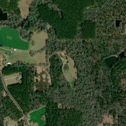 223 Luther Carter Rd Petal MS 39465 High Resolution Satellite Map