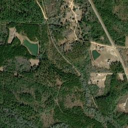 Topton Alabama High Resolution Satellite Map