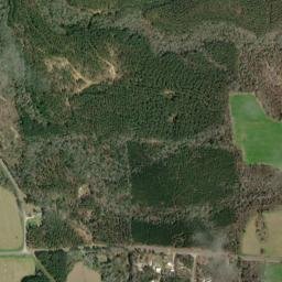 Mineola Alabama High Resolution Satellite Map