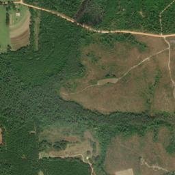 Janes Mill Alabama High Resolution Satellite Map