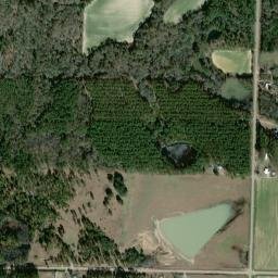 Sam Sells Road, Doerun, GA 31744, USA High Resolution Satellite Map