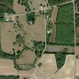 Pearce Alabama High Resolution Satellite Map