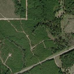 6098 Alexandria Highway, Leesville, LA High Resolution Satellite Map