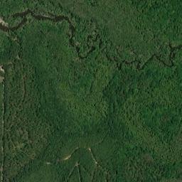 Pine Bluff Landing Alabama High Resolution Satellite Map