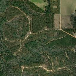 Serange Alabama High Resolution Satellite Map