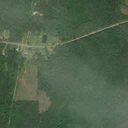 Wallace Alabama High Resolution Satellite Map