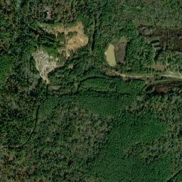 Rapides Parish map(satellite map)