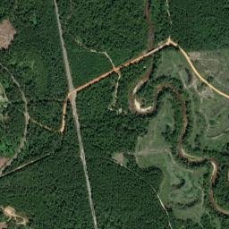 Kirkland Alabama High Resolution Satellite Map