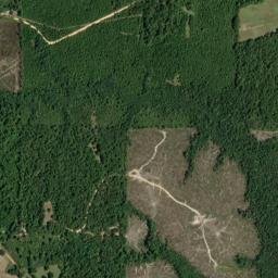 Walley Alabama High Resolution Satellite Map