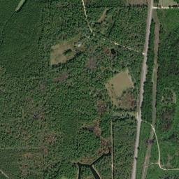 Green Bay Alabama High Resolution Satellite Map