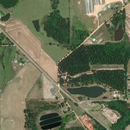 Piney Grove Alabama High Resolution Satellite Map