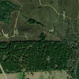 Upper Gordon Landing Alabama High Resolution Satellite Map