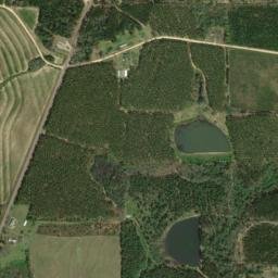 Bald Hill Alabama High Resolution Satellite Map