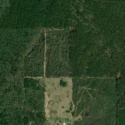 Walthall County map(satellite map)