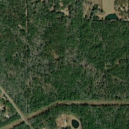 Dwight Alabama High Resolution Satellite Map