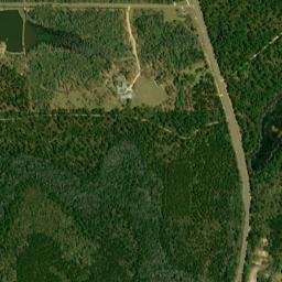 Highway 137, Conecuh National Forest, Andalusia High Resolution Satellite Map