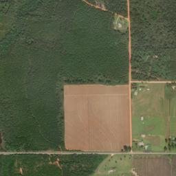 Pineview Alabama High Resolution Satellite Map