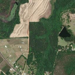 Earlytown Alabama High Resolution Satellite Map