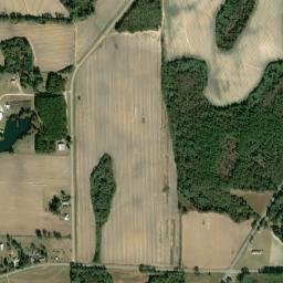 Dupree Alabama High Resolution Satellite Map