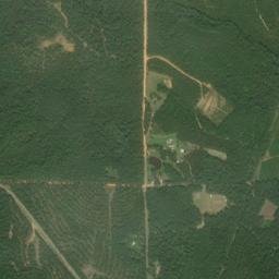 Hammac Alabama High Resolution Satellite Map