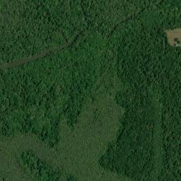 Old Island Landing Alabama High Resolution Satellite Map