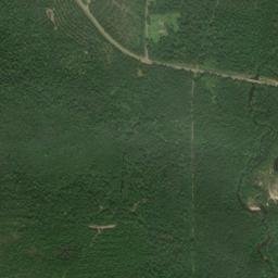 Foshee Alabama High Resolution Satellite Map