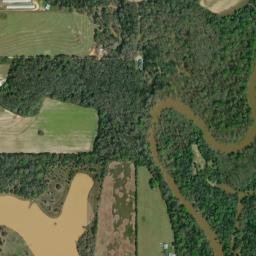 Geneva County map(satellite map)