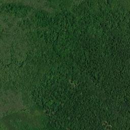 Nelson Landing Alabama High Resolution Satellite Map