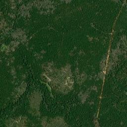 Rome Road, Conecuh National Forest, Wing High Resolution Satellite Map
