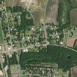 Ray City map(satellite map)