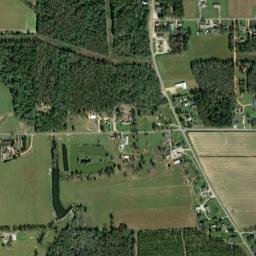 Freemanville Alabama High Resolution Satellite Map