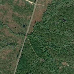 Stedman Alabama High Resolution Satellite Map